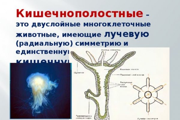 Кракен даркнет купить